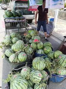 亳州网红吃瓜事件