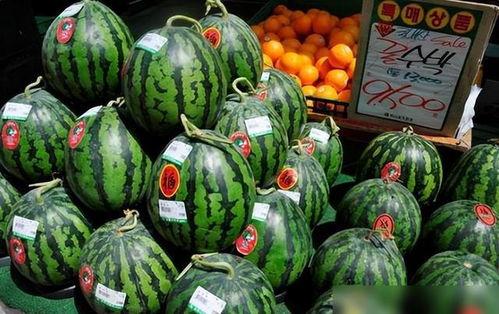 韩国网红echi吃瓜,揭秘娱乐圈幕后故事