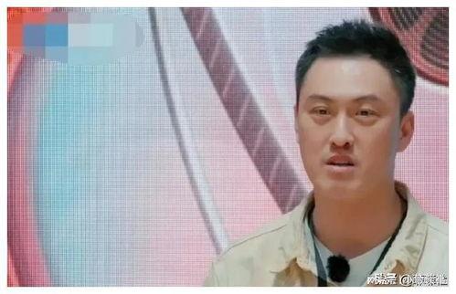 娱乐圈吃瓜前线,揭秘明星背后的秘密与真相